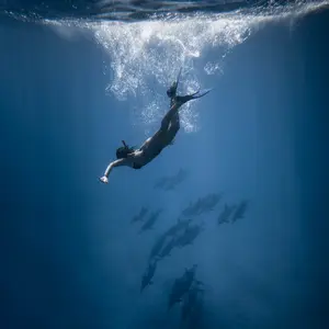 A diver in blue waters with sparkling bubbles rising to the surface above them. The water is shades of deep blue. There is a pod of dolphins swimming deep in the distance.