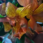 Body, mind, and soul, what a week!