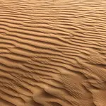 An image of terracotta-colored ripples of sand highlight by light and shadow.