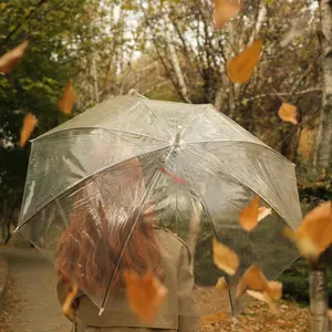 A photographic image of a woman walking with a translucent umbrella through an autumn scene. In the foreground are falling leaves. In the background is a path lined with autumnal trees and fallen leaves.