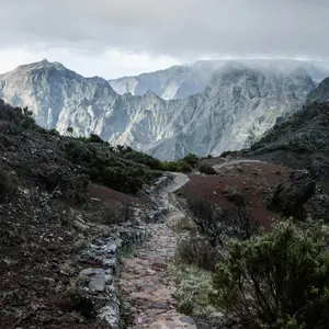 A photographic image of a stone path winding between brush covered rises on both sides. In the distance are sharp, stone mountain peaks some of which are covered in misty clouds.