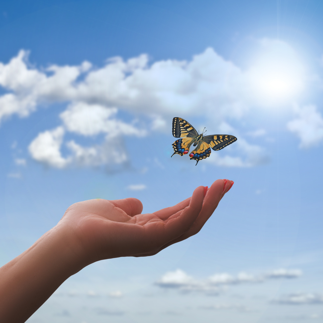 A hand releasing a butterfly into a blue sky.