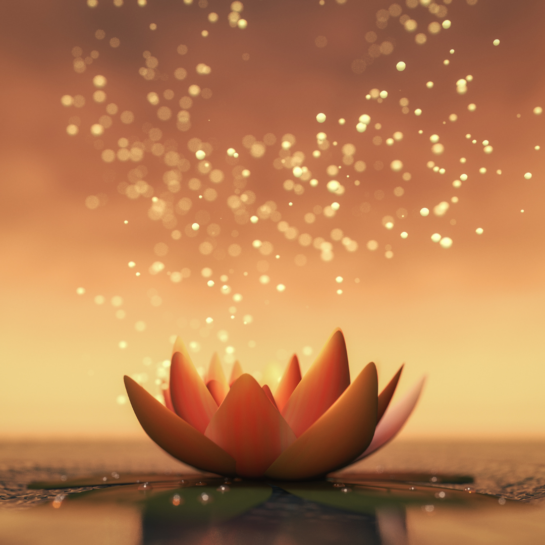 A lotus flower and sparkles.