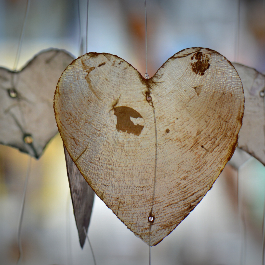 Heart shaped leaves in a winter scene.
