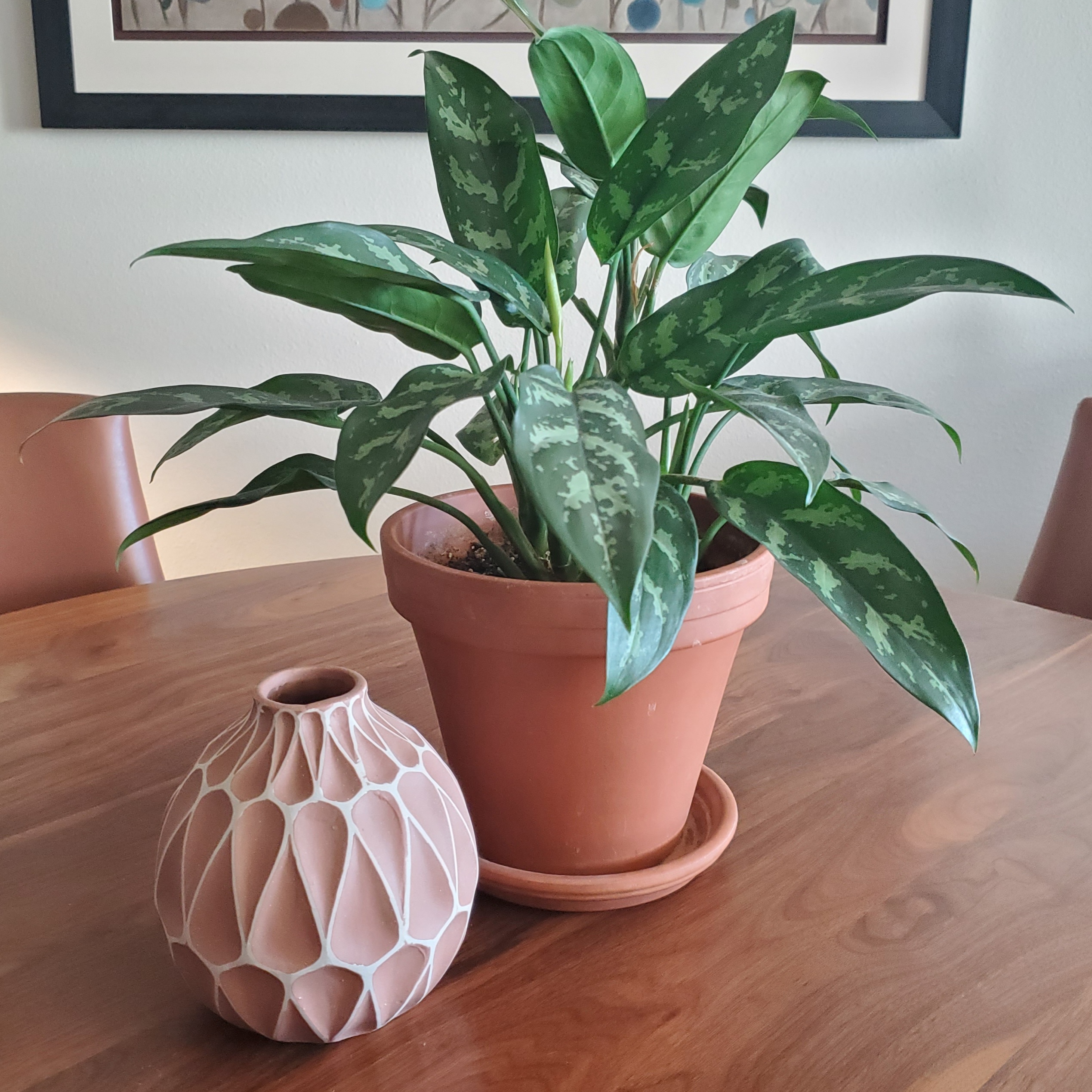 A dining tabletop decoration of a green plant in a terracotta pot and a terracotta vase.