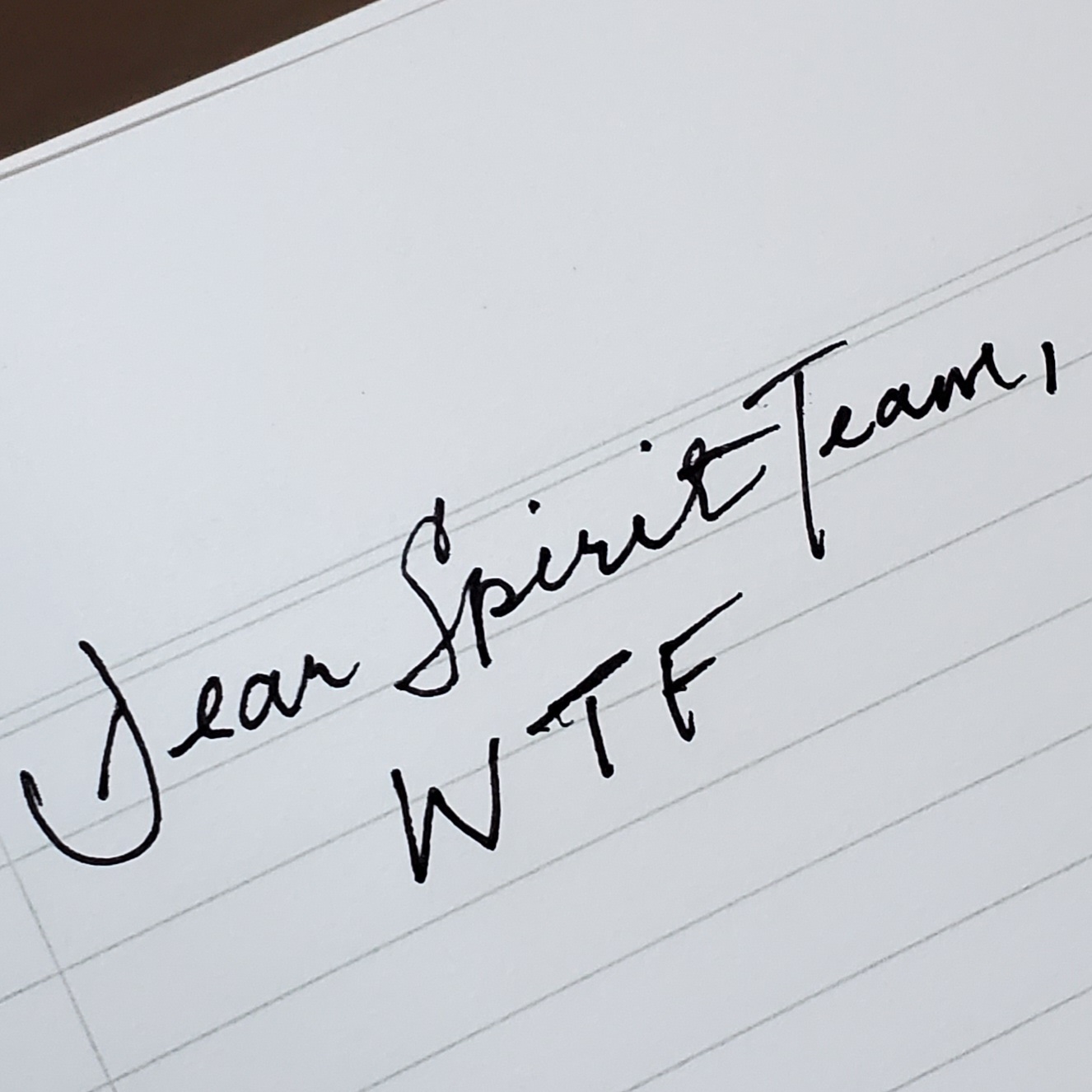 The image is of a page with handwriting that says, "Dear Spirit Team, WTF" The image is of a page with handwriting that says, "Dear Spirit Team, WTF"