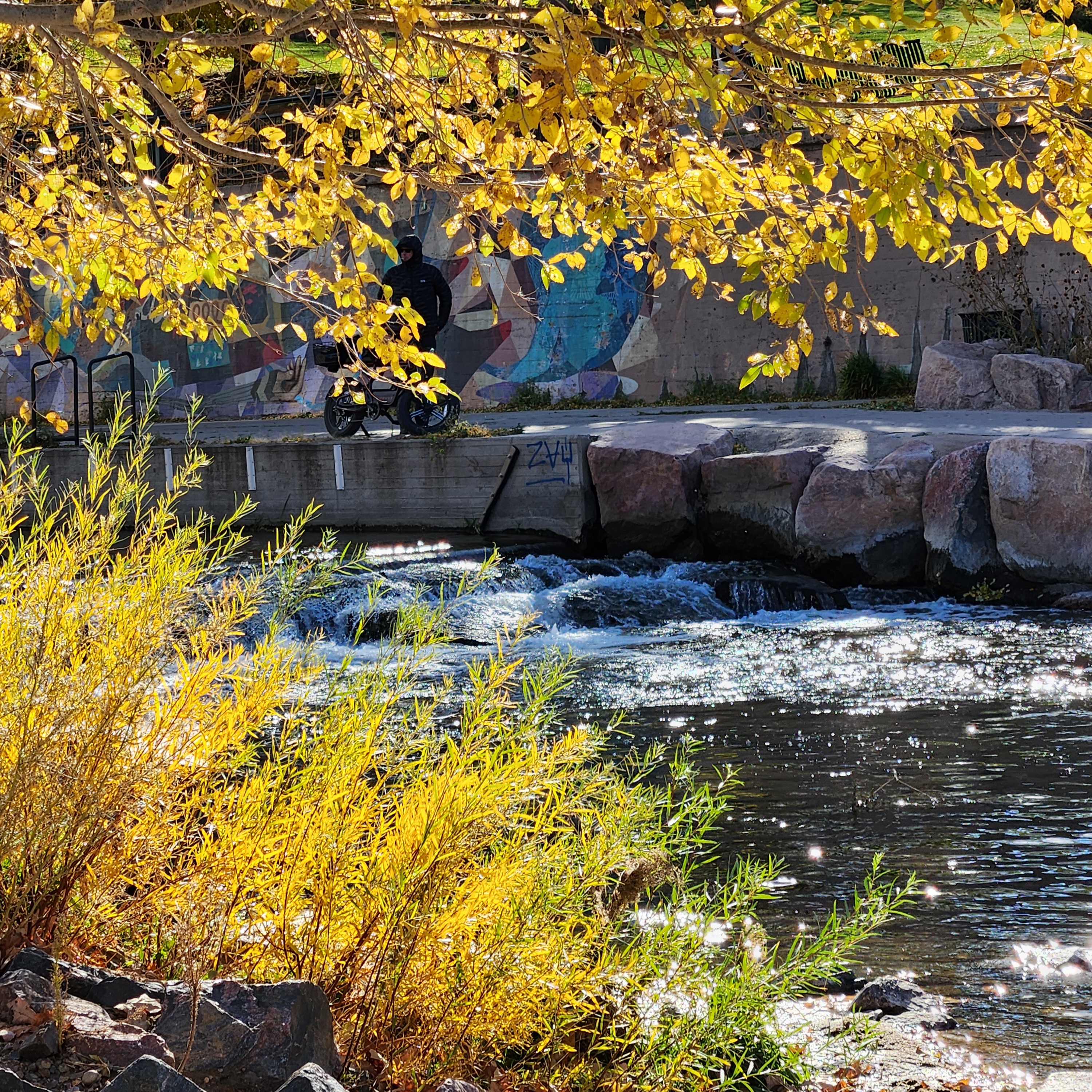An image I captured of the autumn foliage by in Confluence Park. In the foreground a branch filled with sunlit golden leaves and the sunlit golden foliage lining the creek. In the background the water of the Cherry Creek sparkle in the sun. An image I captured of the autumn foliage by in Confluence Park. In the foreground a branch filled with sunlit golden leaves and the sunlit golden foliage lining the creek. In the background the water of the Cherry Creek sparkle in the sun.