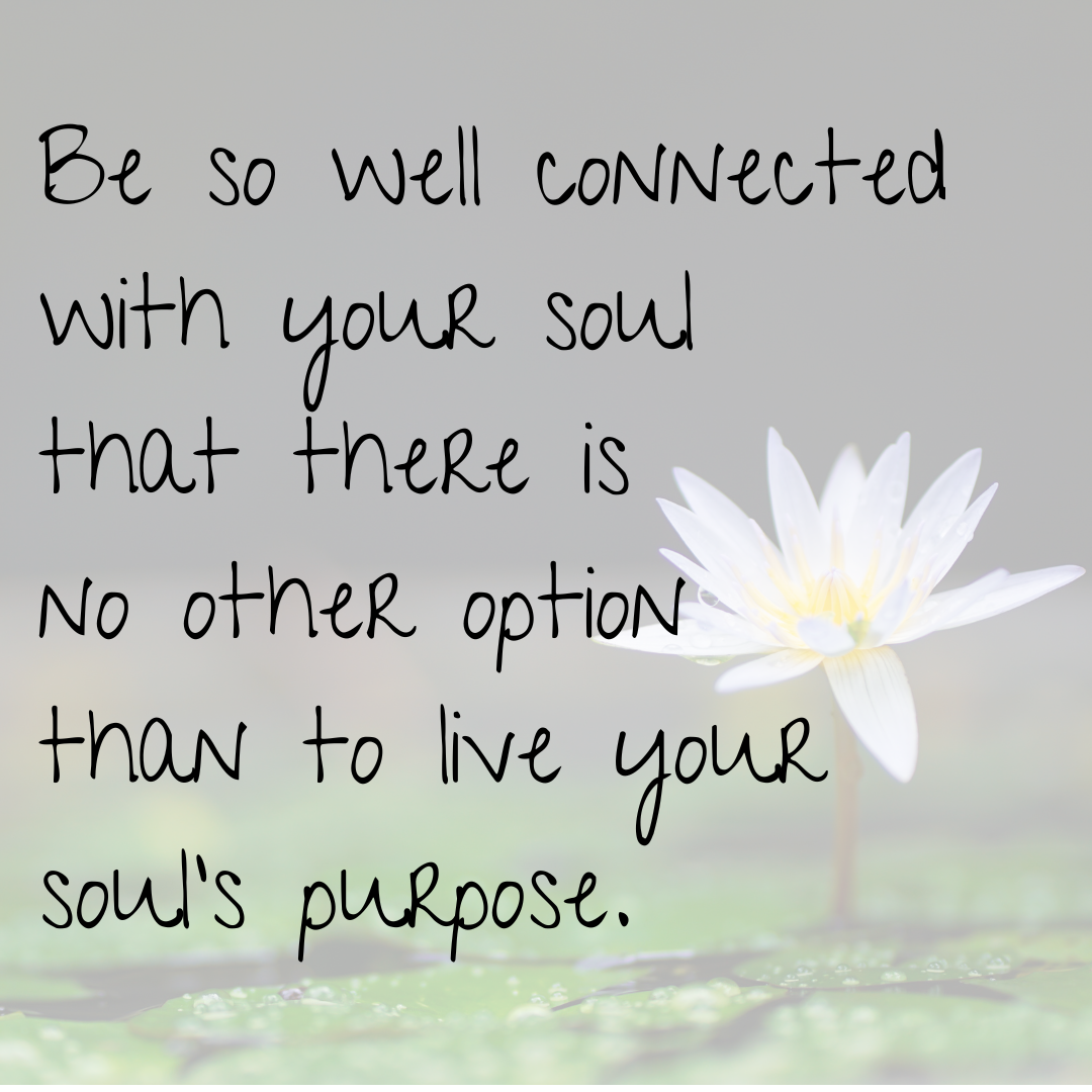 find your souls purpose