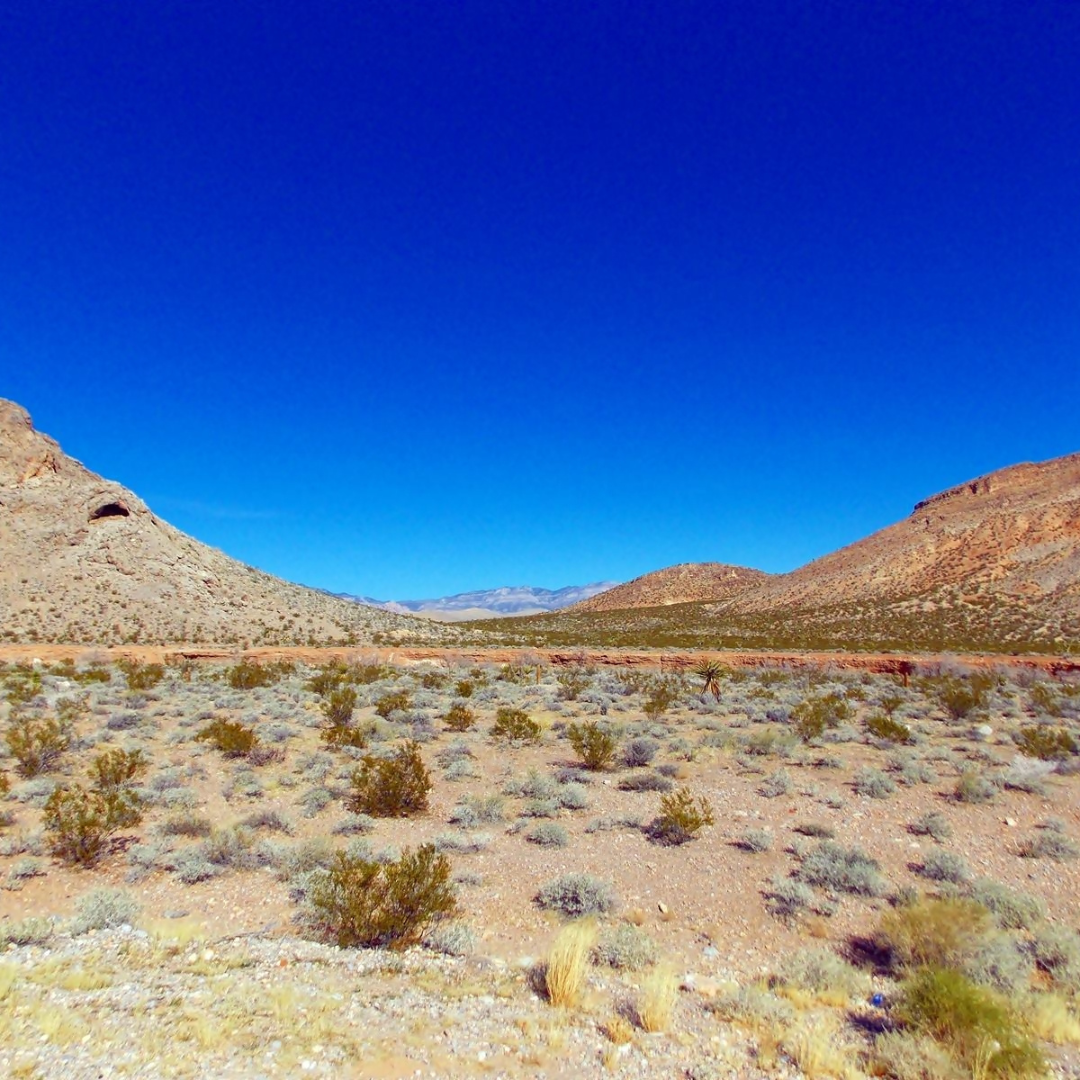A desolate desert under bright blue sky. A desolate desert under bright blue sky.