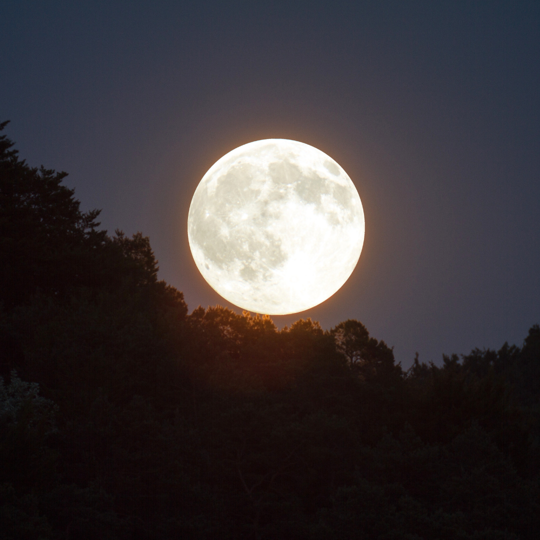 A big bright full moon on a dark night sky. An outline of a mountain ridge and trees is present.