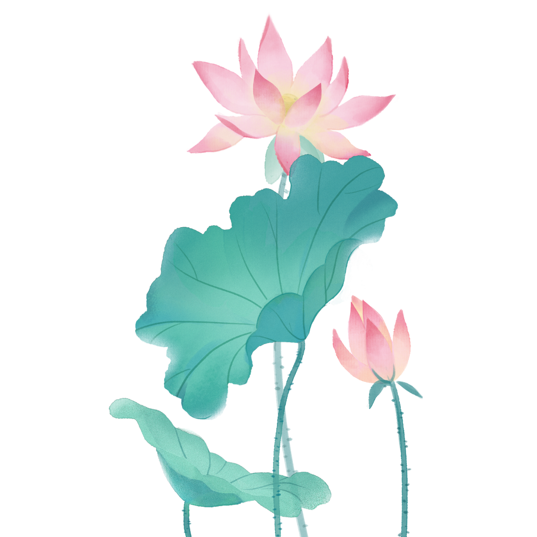 An artist's rendering of a pink lotus flower and it's leaves. It's a simple drawing on a white background.