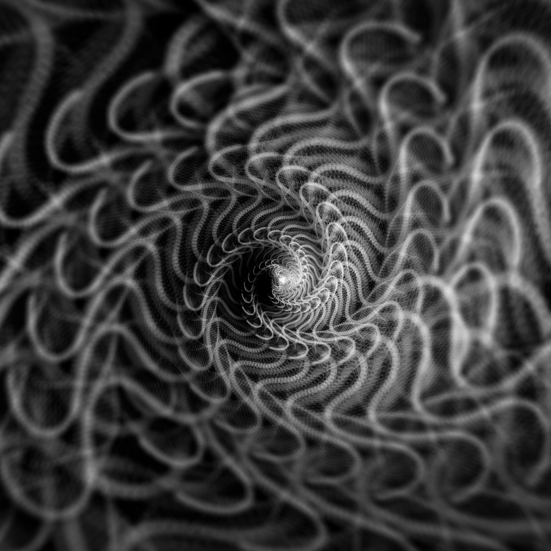 A black and white and greyscale photographic image of a spiral. It looks like a naturally occurring Fibonacci sequence.