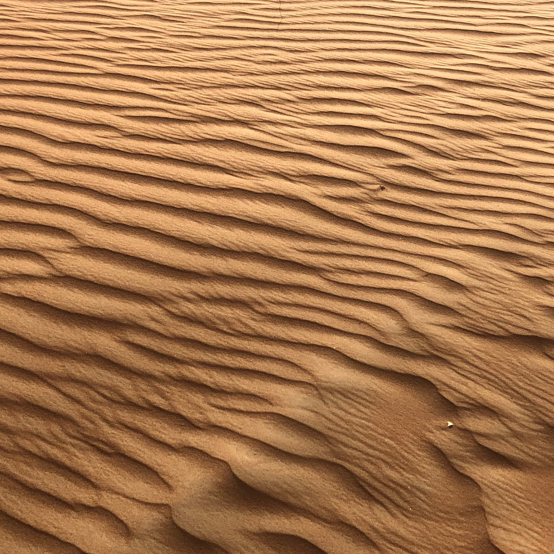 An image of terracotta-colored ripples of sand highlight by light and shadow.