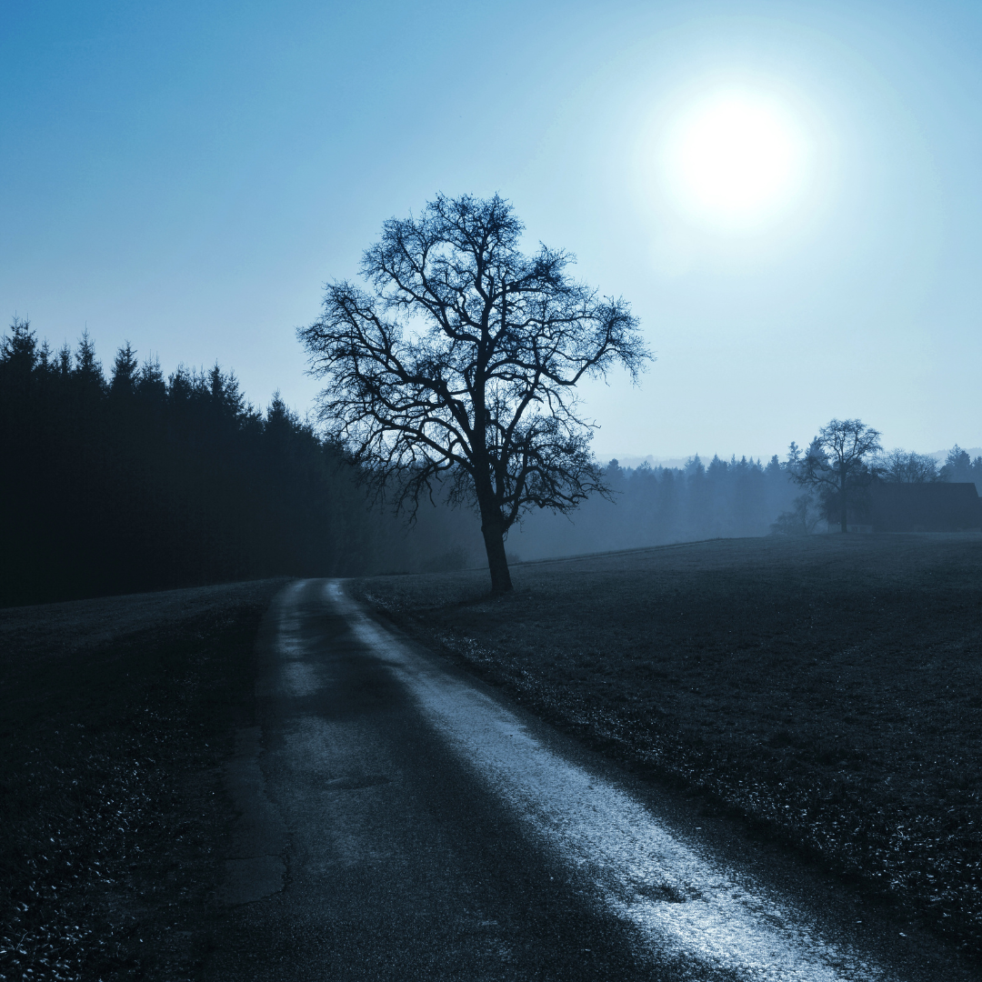 A dark, misty, moody scene. It looks like it could be night. A muddy road winding through grass and trees is highlighted by a fog-dimmed moon. A dark, misty, moody scene. It looks like it could be night. A muddy road winding through grass and trees is highlighted by a fog-dimmed moon.