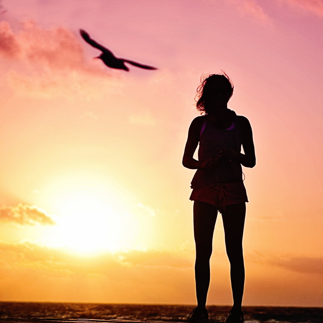 A female figure and a bird in flight silhouetted against a bright sunrise.