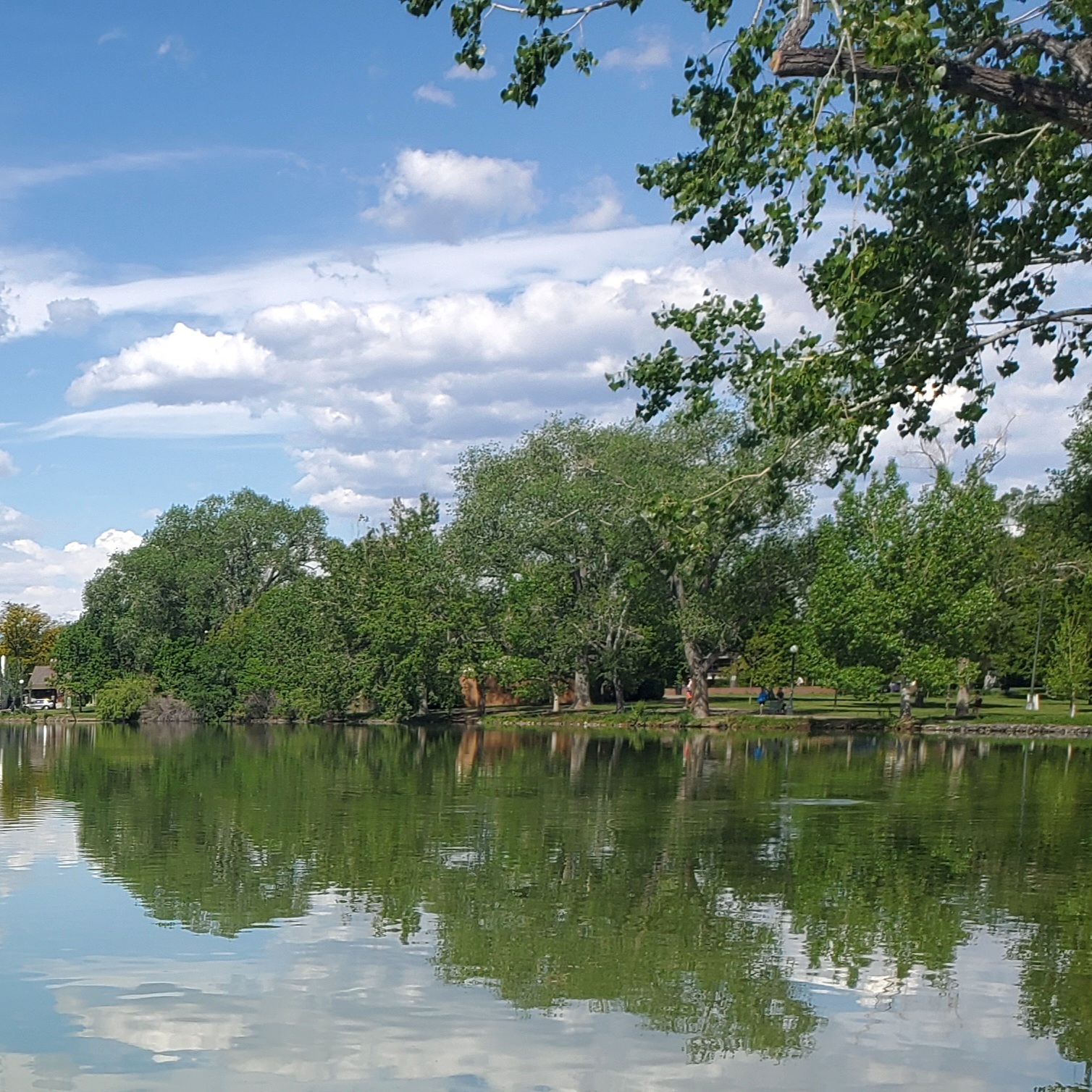 A tree lined lake reflecting trees and clouds in the water.