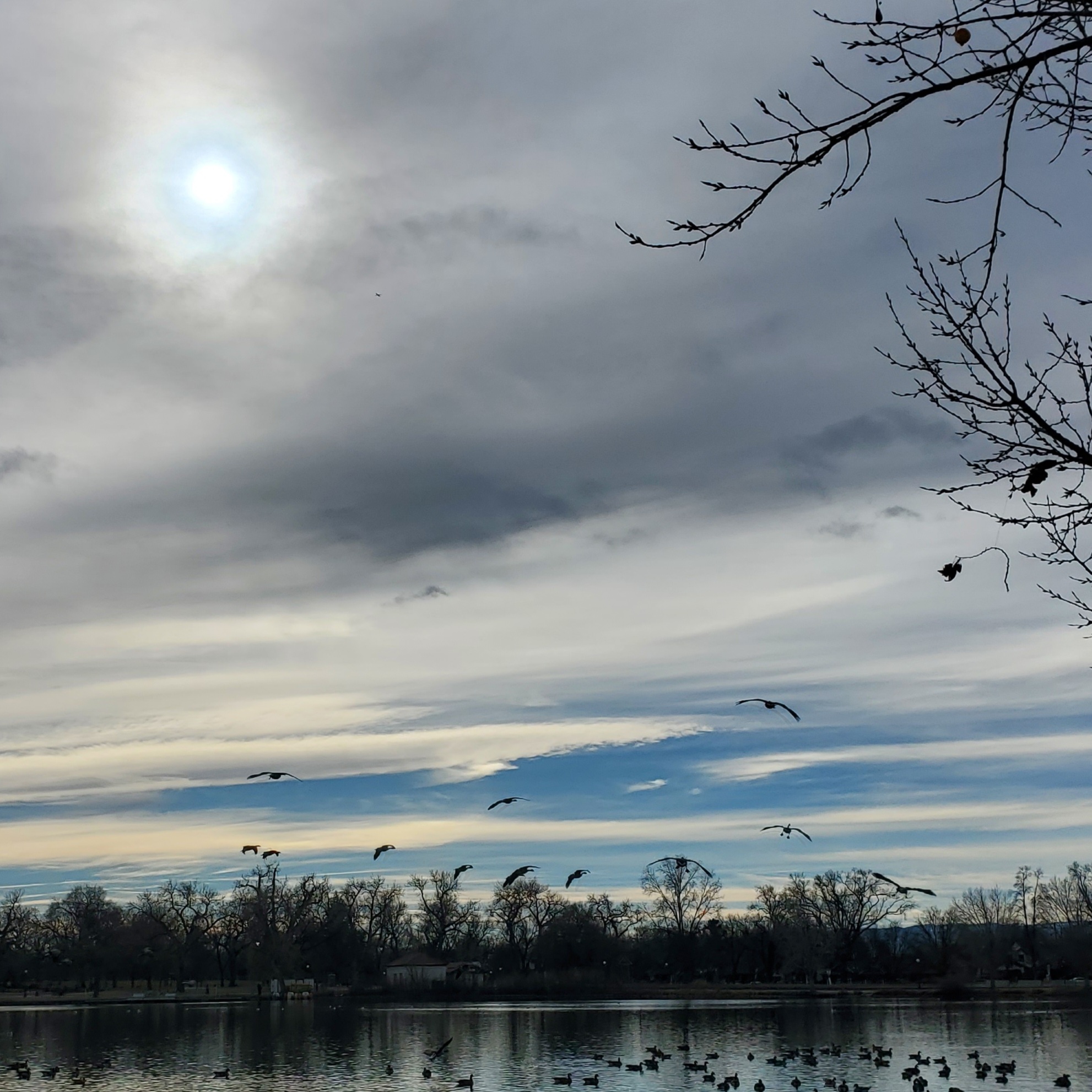 A photograph of sun partially covered by clouds and a lake with geese flying, landing, and floating.