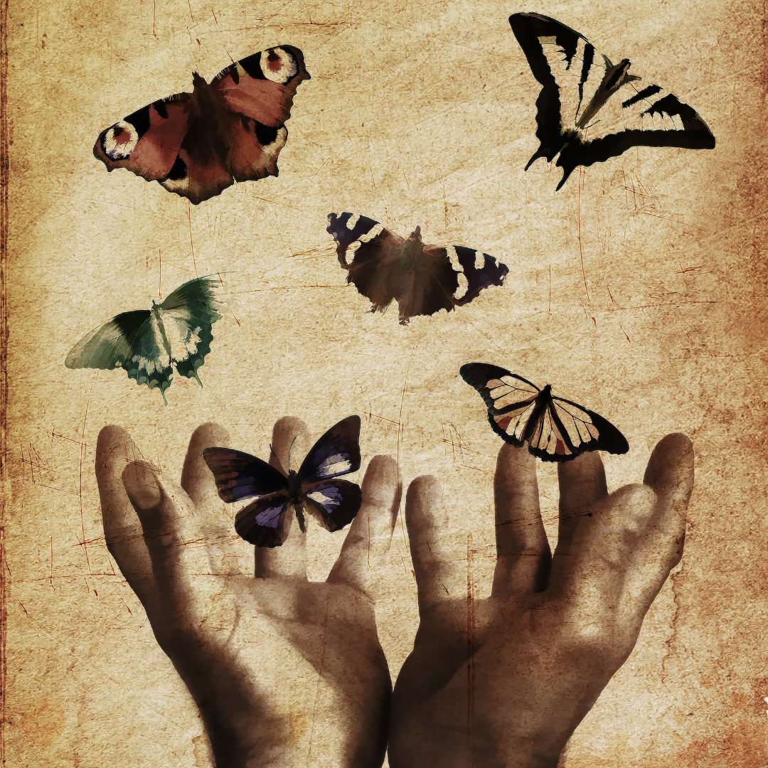 An image of a two hands releasing butterflies.